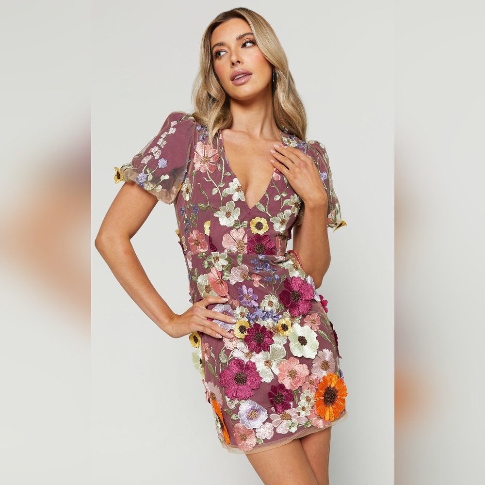Showpo Mauve Floral Embroidered Mini Dress
